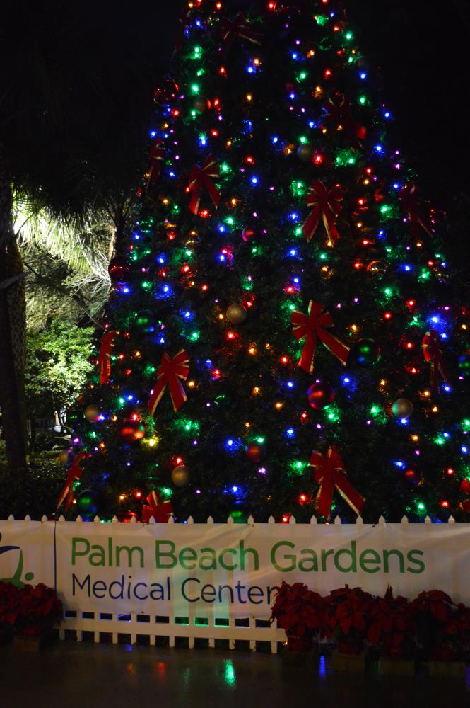 Tree Lighting 2014 41